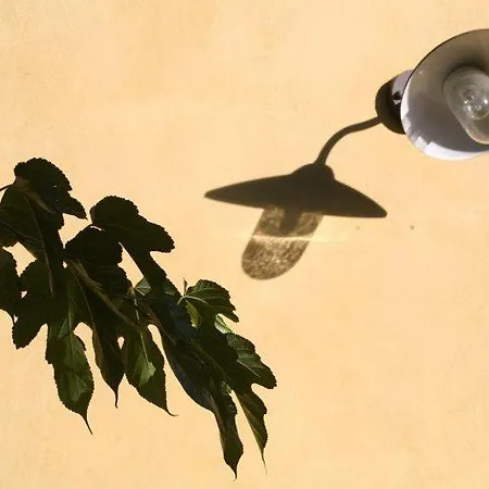 La Guetteuse Ferienhaus Hyères