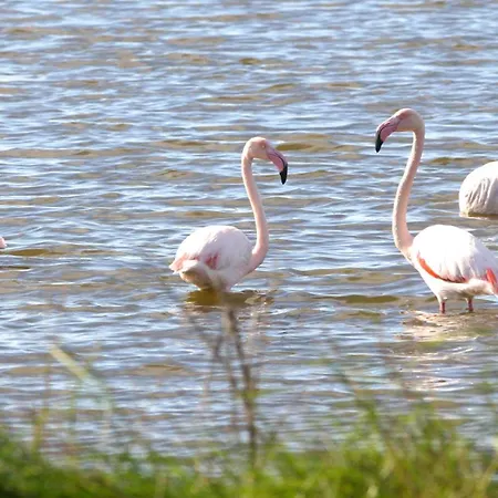 Casa vacanze La Guetteuse *
