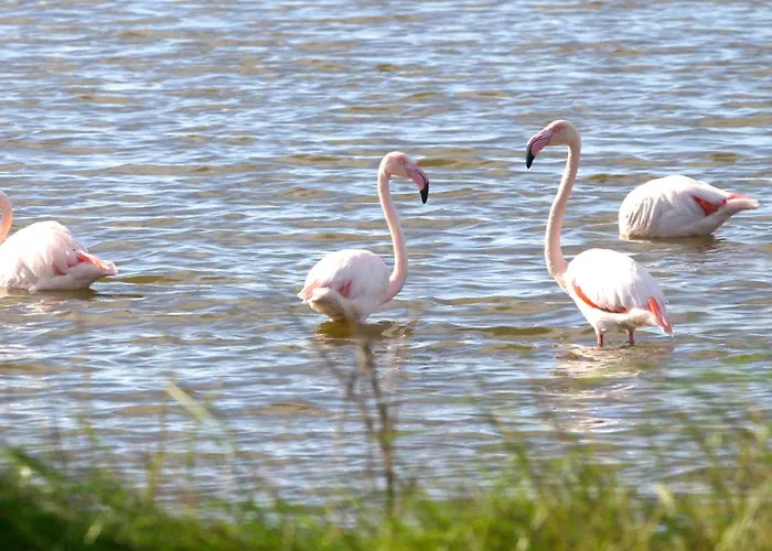 Casa vacanze La Guetteuse *